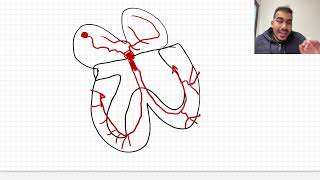 Cardiac Arrhythmias and Their Electrocardiographic Interpretation  part 1 [upl. by Enelyam]