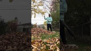 Fall Clean Up  Livonia Michigan [upl. by Corb]