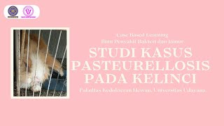 Studi Kasus Pasteurellosis pada KelinciIlmu Penyakit Bakteri dan Jamur2309511128 [upl. by Dulcie562]