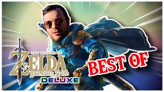 Domtendo dringt ins Innere ein 🤨  Zelda Breath of the Wild 💫✨DELUXE✨💫 Randomizer  OST BEF [upl. by Hjerpe]