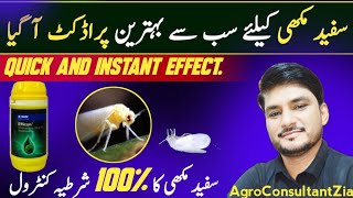 Efficon Powered By Axalion  Best White Fly Control  Dimpropyridaz  India  Australia  Pakistan [upl. by Lanuk]