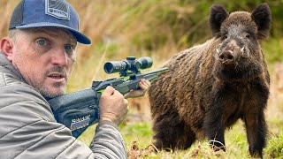 This Took 500 Years The NEW Beretta BRX1 and Burris Eliminator 6 vs Wild Boar Catch n Cook [upl. by Akimrehs338]