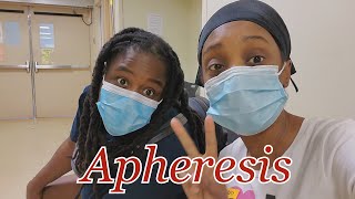 Apheresis  Exchange Transfusion  Vlog Appointment [upl. by Batruk]