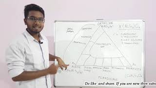 Feldspar group  Mineralogy  for NETCSIR  SET  GATE  JAM Geology [upl. by Bois]