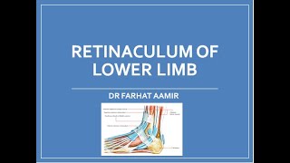 Retinaculum of Lower Limb [upl. by Witkin452]