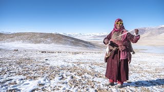 A Winters Day in Changthang  Living with the Changpas of Ladakh  26 [upl. by Atims]