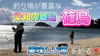 釣り場が豊富な篠島で釣り🎣20231118 [upl. by Saks958]