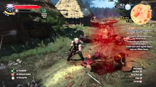 Witcher 3  Brutal Combat Moments [upl. by Merce]