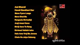 Shrinathji Satsang  Top 10 Songs  Maara Ghat Ma Birajta Shrinathji [upl. by Cheston]