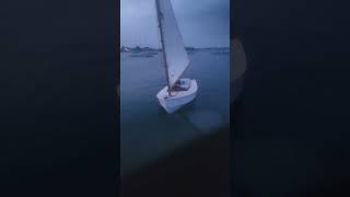 Sam sails the Pole Cat sailboat my father built 25 years ago First time in the water in 5 yeara [upl. by Massimiliano]