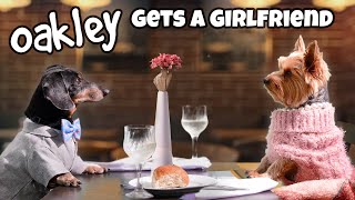 MISSION DATE NIGHT  Funny Wiener Dog Date [upl. by Ober76]