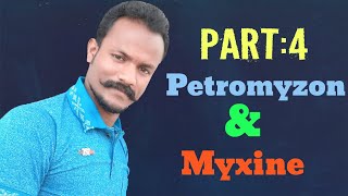 Petromyzon and Myxine  Part 4 Comparision By Anand sir [upl. by Burris]