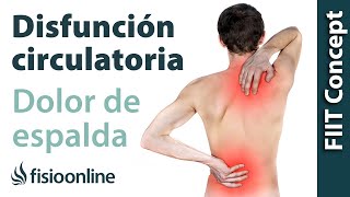 Disfunciones del sistema circulatorio y dolor de espalda cervicales y trapecios [upl. by Buttaro384]