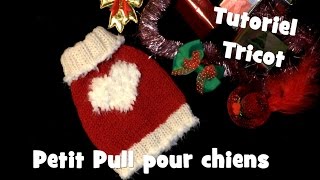 Tutoriel Tricot Petit Pull Coeur Blanc pour chiens  Knitting Dog Sweater [upl. by Alair]