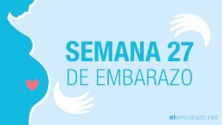 Semana 27 de embarazo  27 semanas de embarazo  El embarazo semana a semana [upl. by Steffy]