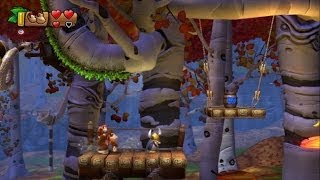 Donkey Kong Country Tropical Freeze 100 Walkthrough  World 23 World 24 Secret Exit [upl. by Chun576]