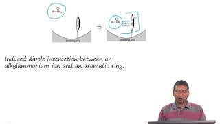 Tutorial 04 Receptors Binding Interactions Ion Channels [upl. by Airbma]