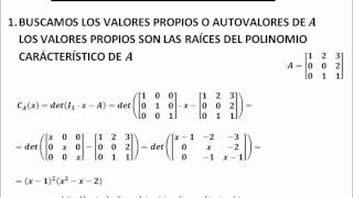 Cómo diagonalizar matrices reales [upl. by Yrahk]