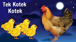 Tek kotek Kotek  Lagu Anak Indonesia  Animasi Ayam [upl. by Atteram]