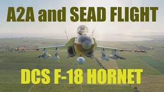 Ralfis Alley  F18 SEAD and CAP cover [upl. by Airec]