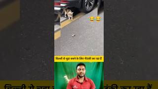 बिल्ली से चूहा बचने के लिए नौटंकी कर रहा हैं 😂😂 shorts cat rat catshorts funnyshorts [upl. by Pizor]