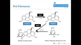 Farmacocinética Aplicada VI Prófármaco [upl. by Meehaf]