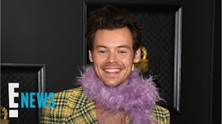 Harry Styles REVEALS quotWatermelon Sugarsquot NSFW Meaning  E News [upl. by Sparky695]