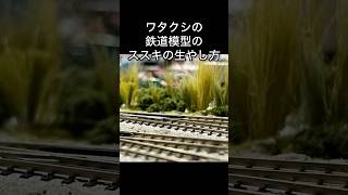 鉄道模型 のススキ のワタクシの生やし方。普通こうですよね…。 railwaymodelling レイアウト ジオラマ scenery nscale nゲージ 情景 howto [upl. by Defant]