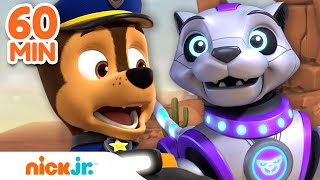 PAW Patrol Mega Robot Rescues w Chase Skye amp RoboDog  1 Hour Compilation  Nick Jr [upl. by Ranson]