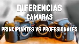 Camaras principiantes vs profesionales  ¿Cuales son las diferencias [upl. by Tnemelc]