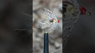 Holy Grail shorts flytying [upl. by Dosia18]