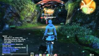 FFXIV Gameplay Patch 120  123011 [upl. by Nwadahs]