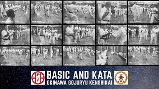 The Practice of Kenshikai  Tetsuhiro Hokama  Okinawa Gojuryu Kenshikai【Official】 [upl. by Reinar]