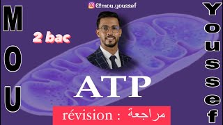 مراجعة درس révision du chapitre ATP [upl. by Ellary]