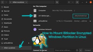 How to Mount Bitlocker Encrypted Windows Partition in Linux [upl. by Isleana372]