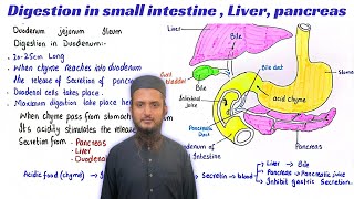 Digestion in small intestine  Pancreas  Liver  class 11 [upl. by Sverre]