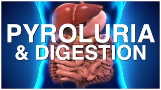 Health Matters Pyroluria and Digestion [upl. by Hecht642]