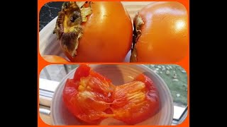 How to ripen up persimmons in 35 days why you should´nt eat crunchy persimmons [upl. by Harle]