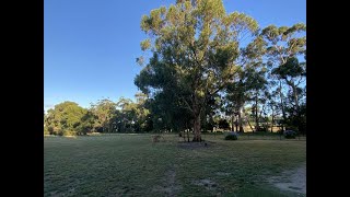 Drouin Fenced Dog Park Bellbird Park [upl. by Resarf844]