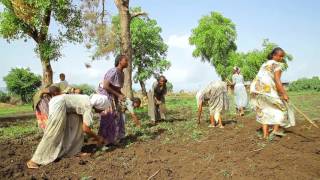 Agriterra in Ethiopië 2 [upl. by Aurita]