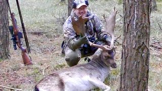 Pirsch auf Damhirsch  Medal Class Fallow Buck Hunt [upl. by Nylak]