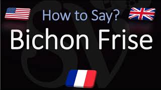 How to Pronounce Bichon Frisé CORRECTLY English French Dog Breed Pronunciation [upl. by Ib]