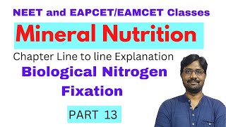 Biological Nitrogen Fixation  Mineral Nutrition Chapter Line to line Explanation  PART 13 [upl. by Amby495]