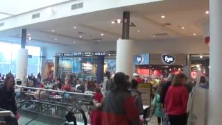 Crossgates Mall Singing Flash Mob 12212013 [upl. by Uolyram]