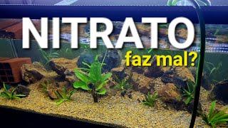 Z0nas M0rtas e os RISCOS do excesso de Nitrato AQUÁRIO  Algas e d0enças nos peixes [upl. by Goggin]