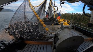 Alaska Commercial Salmon Fishing B2B2B Seining Sets  ALL GAS NO BREAKS BAYBEE [upl. by Lered834]