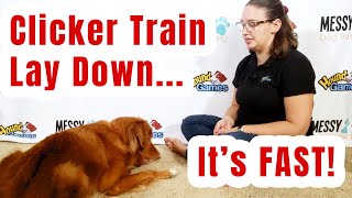 Clicker Train Lay Down Command Fast [upl. by Nodgnal]