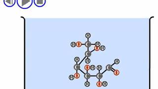 Cyclization of glucose [upl. by Nehemiah971]