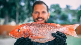 Fresh Caught Whole Red Snapper On The Grill [upl. by Kosak]