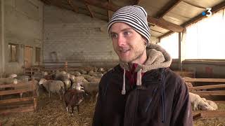 Isère Wwoofing à la ferme la Champagne un élevage dovins à proximité du Parc National des Écrins [upl. by Leunamesoj]